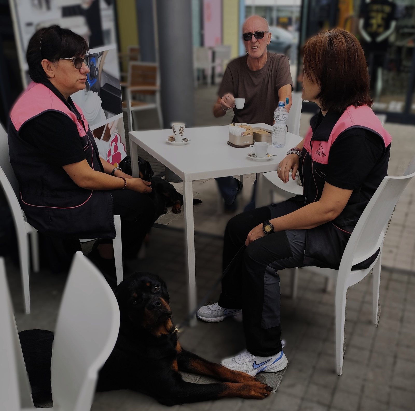 Cane rilassato sotto il tavolo di un bar durante una lezione in città